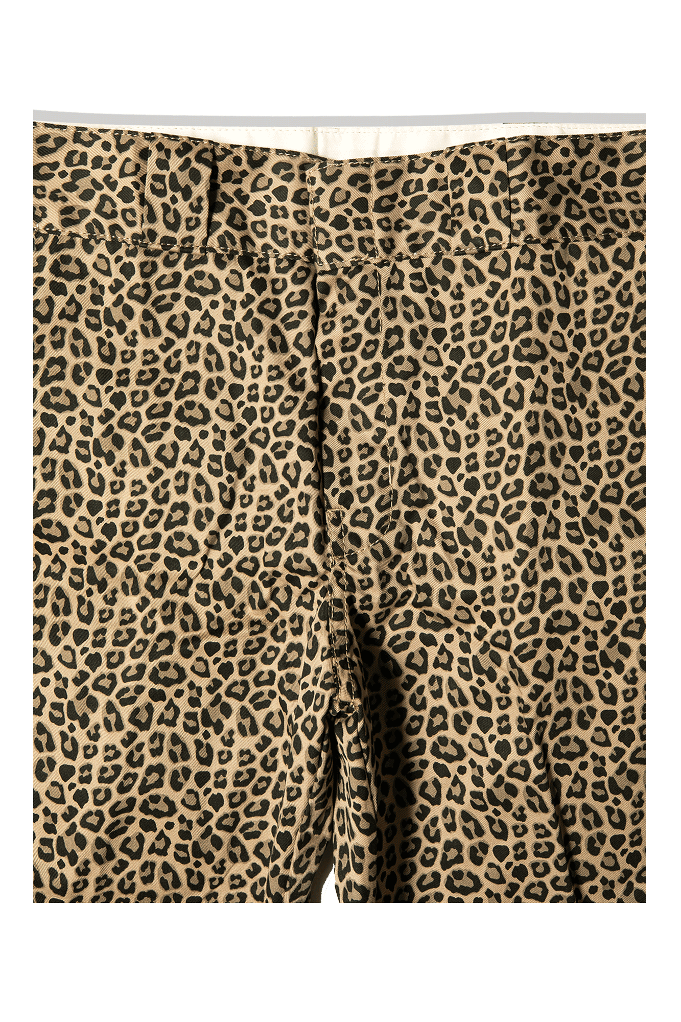 Dickies Silver Firs Short 7 Dickies Silver Firs Short - Image 5