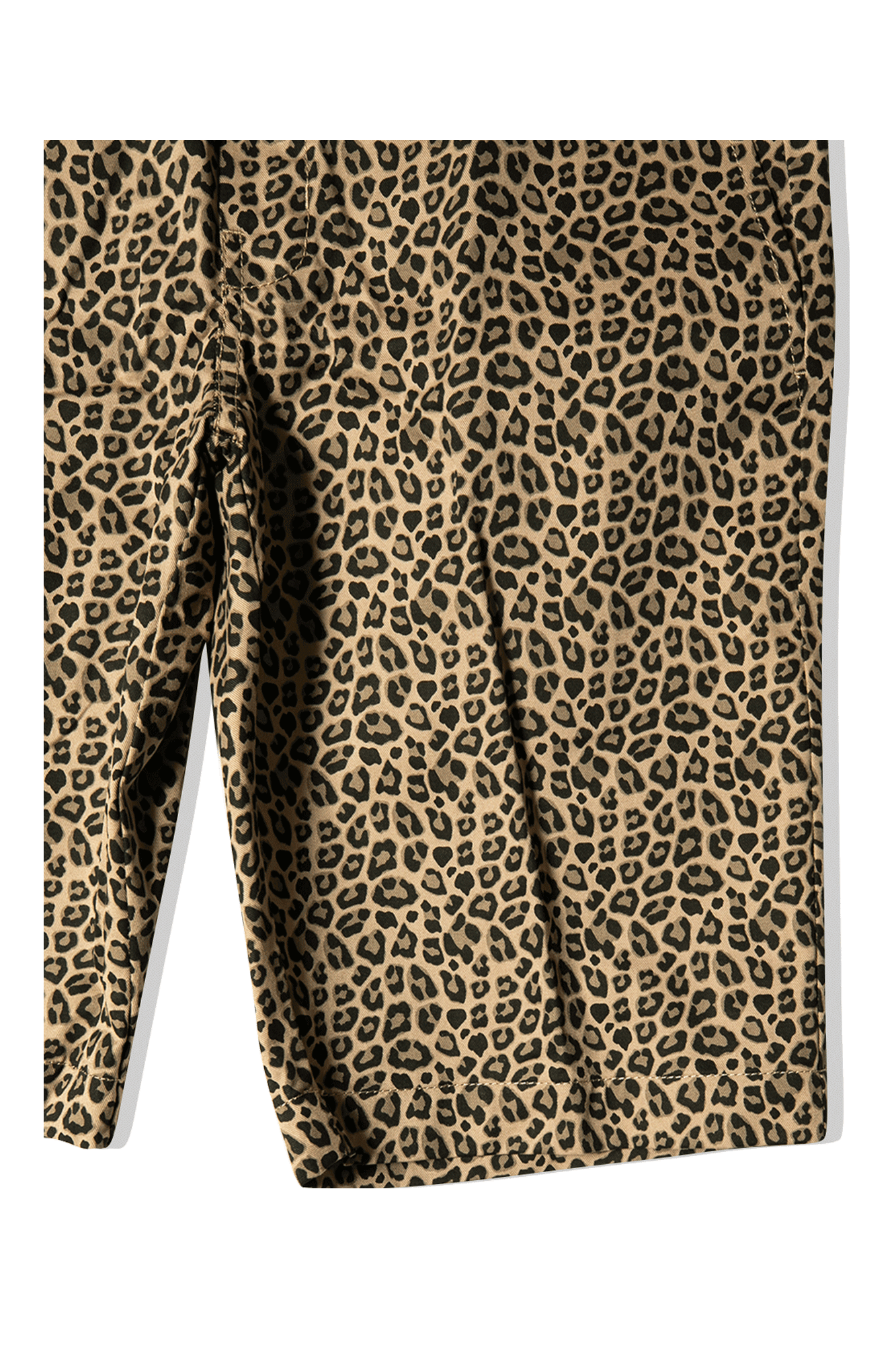 Dickies Silver Firs Short 8 Dickies Silver Firs Short - Image 6