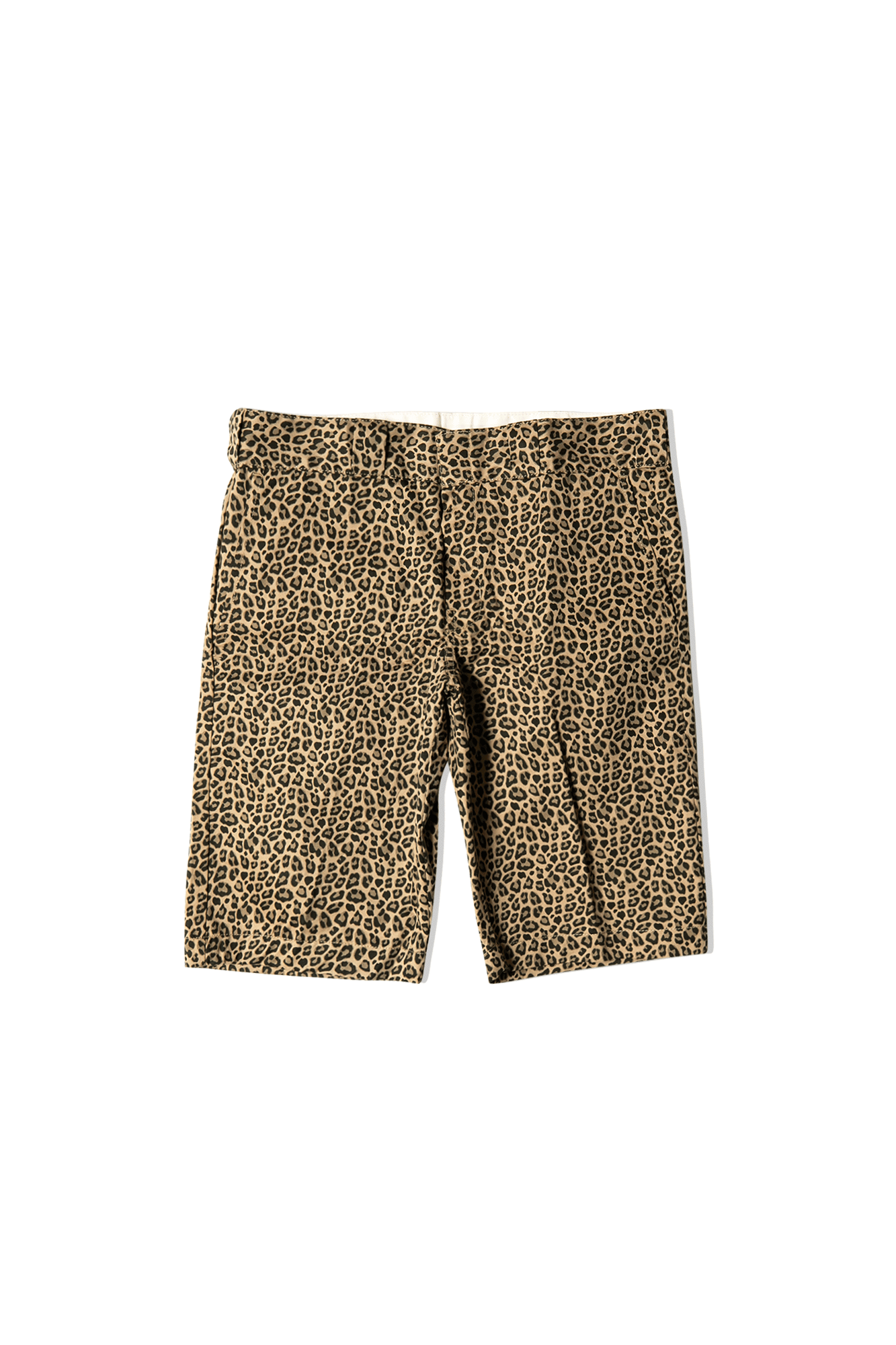 Dickies Silver Firs Short 10 Dickies Silver Firs Short - Image 8