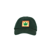 IDEA Plant Seeds Forest Embroidered Patch Cap