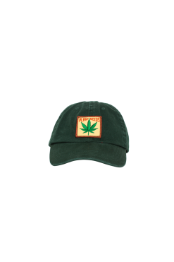 IDEA Plant Seeds Forest Embroidered Patch Cap