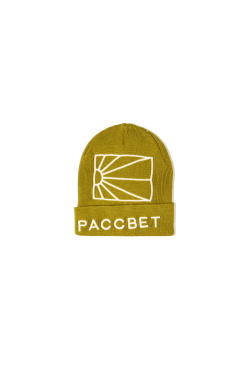 Rassvet (PACCBET) Big Logo Knit Beanie